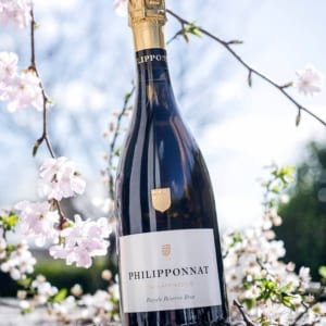 Champagne Philipponnat Royale Réserve Brut