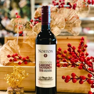 Ruou Vang Norton Coleccion Cabernet Sauvignon