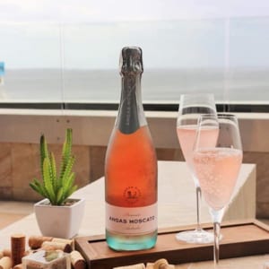 Vang Angas Moscato Rosé