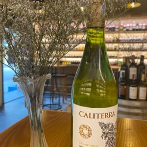 Vang Caliterra Reserva Chardonnay