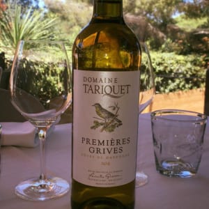 Vang Domaine Du Tariquet Premieres Grives