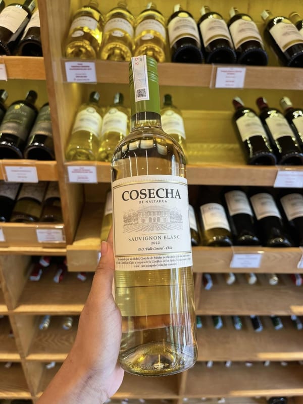 Vang Tarapaca Cosecha Sauvignon Blanc